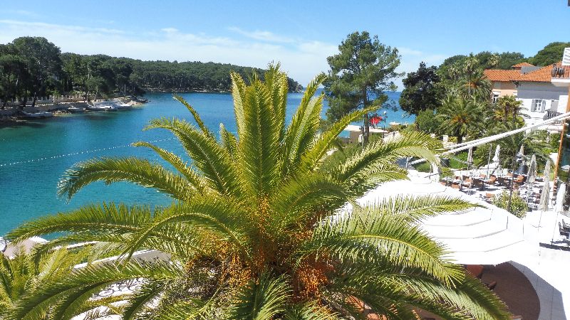 2019-Kroatie_palm-klein